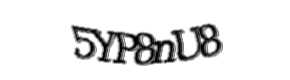Security check image, please type the characters shown